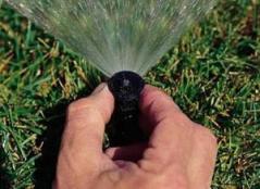 readjusting a sprinkler head