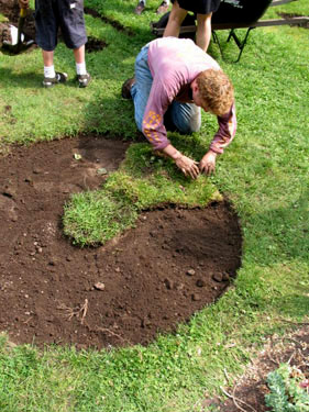 sod repair 